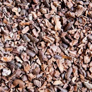 cacao-cru-pepites-250-g- (1)
