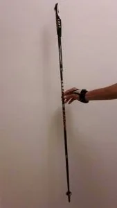 14786972_10157550073210621_1259409851_o