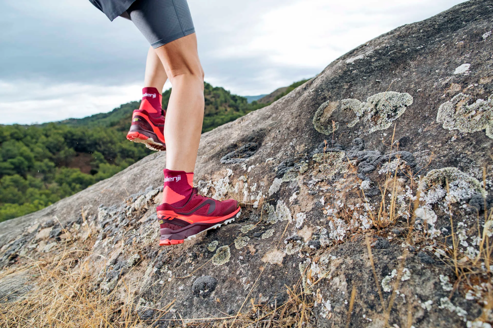 Copie de IN_P2709-ok