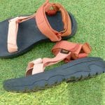 TEVA_Hurricane_05_1
